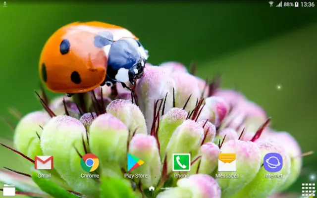 Beautiful Summer HD Wallpapers android App screenshot 2